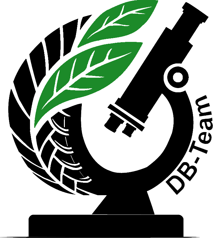 Logo DB-Team
